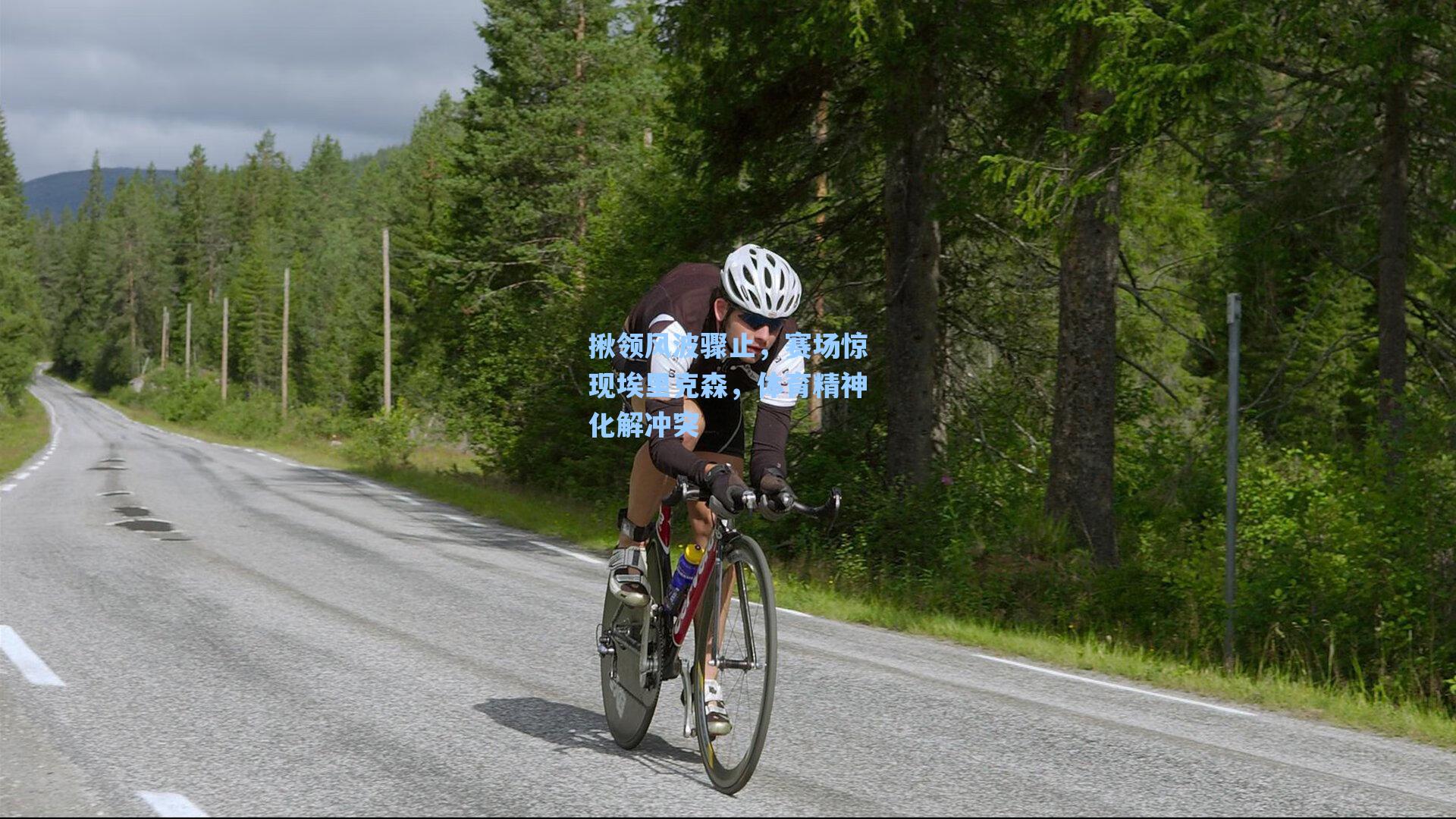 揪领风波骤止,赛场惊现埃里克森,体育精神化解冲突