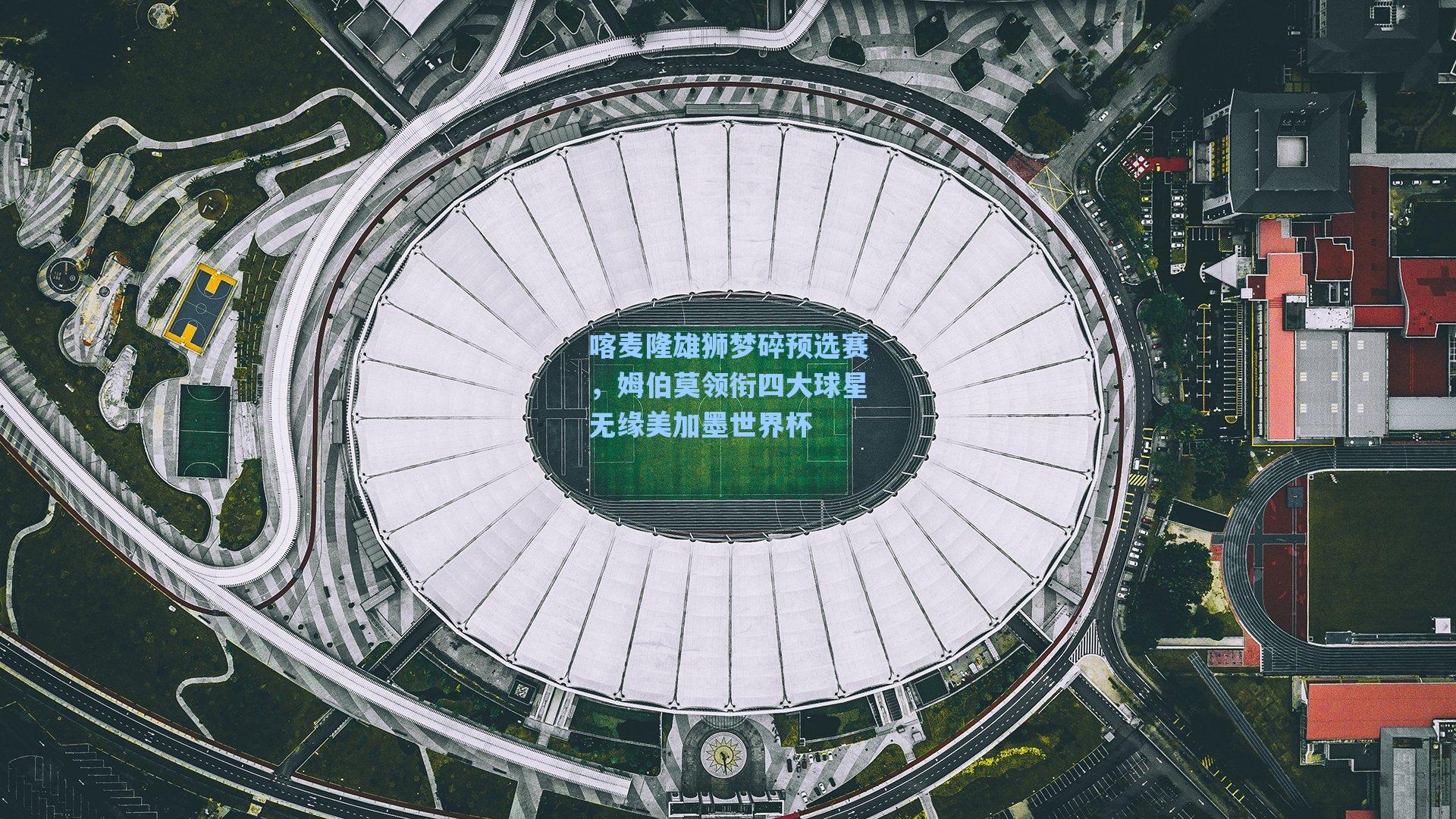 喀麦隆雄狮梦碎预选赛,姆伯莫领衔四大球星无缘美加墨世界杯